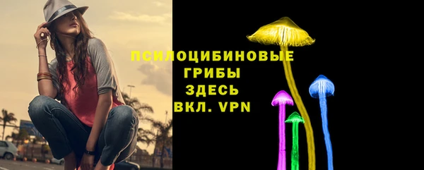 гидропоника Абаза