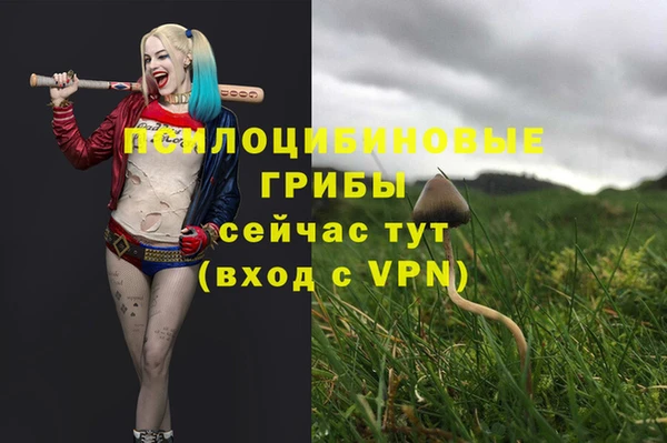 гидропоника Абаза