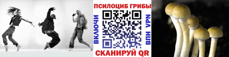 Галлюциногенные грибы мухоморы  купить  сайты  Барнаул 